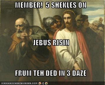 Member 5 sheckles