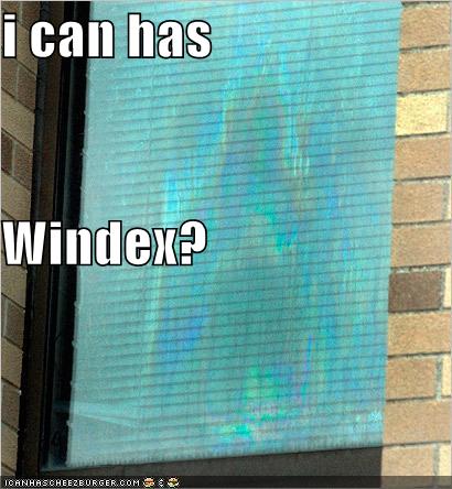 I can haz windex