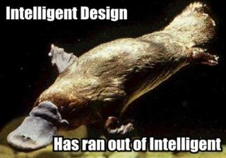 Platypus Intelligent Design