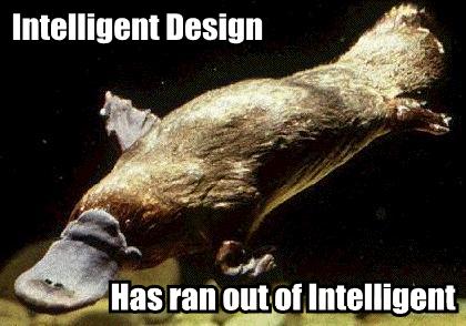 Platypus Intelligent Design