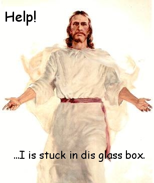 help … i is stuck in dis glass box