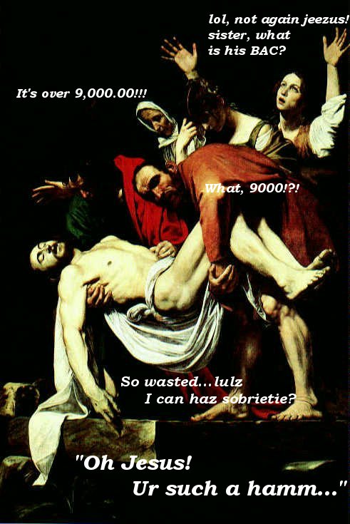 so wasted i can has sobriety