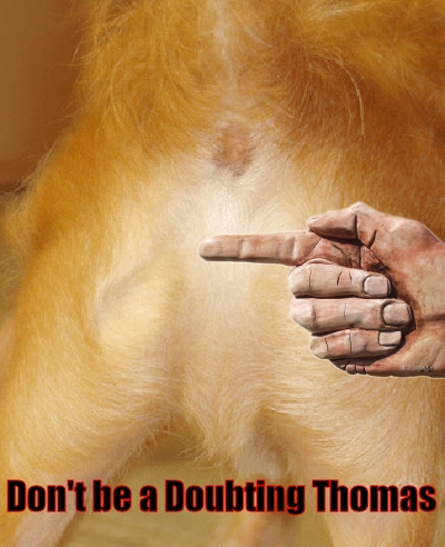 Doubting Thomas