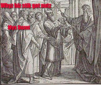 Whyz hiz stik got nutz