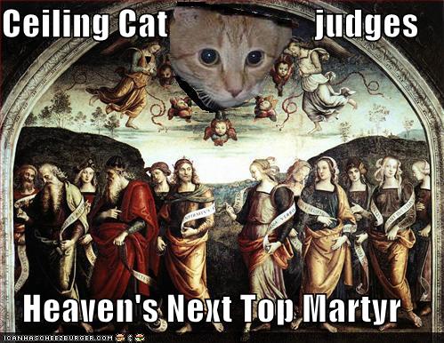 ceiling cat judges heaven’s next top matyr