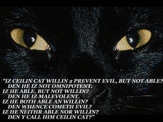 DEN Y CALL HIM CEILIN CAT?