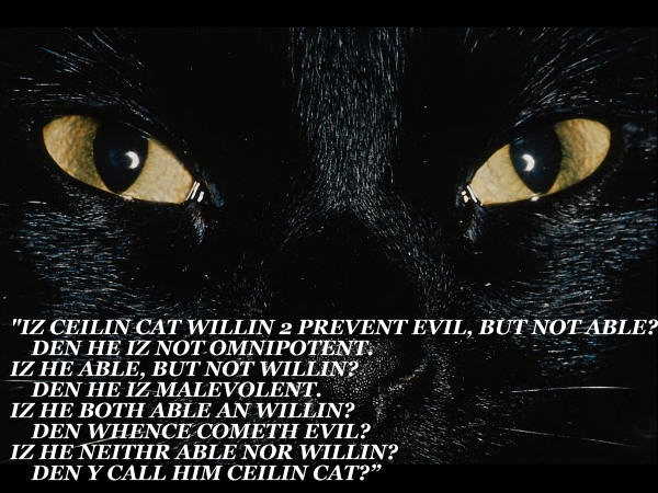 DEN Y CALL HIM CEILIN CAT?