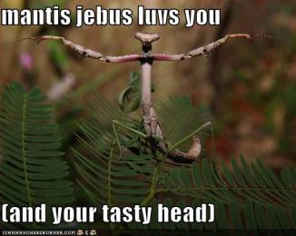 Mantis Jesus loves you and your tasty head