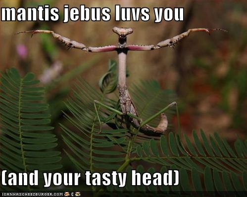 Mantis Jesus loves you and your tasty head
