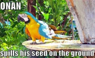 Spills his seed