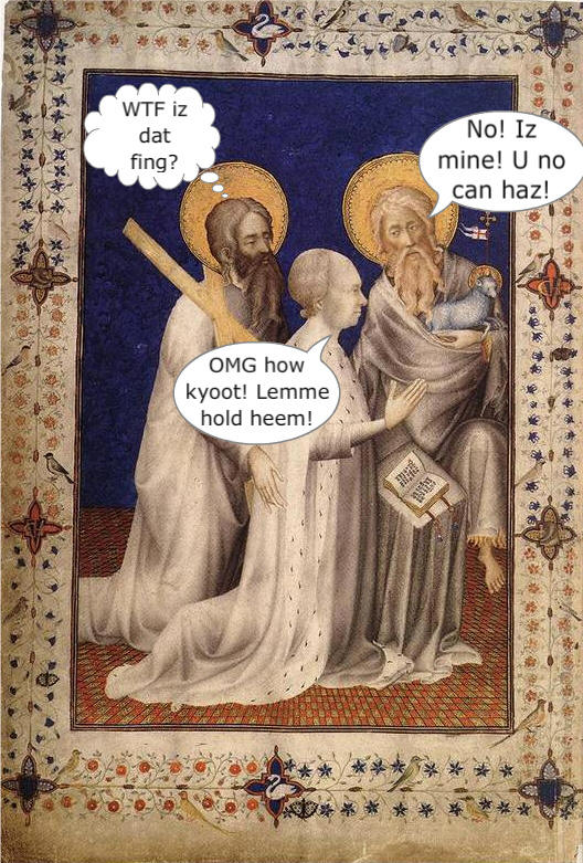 Lamb-puppy hybrid?  Teeny white bull with mouse ears?  Or maybe it's Australian.